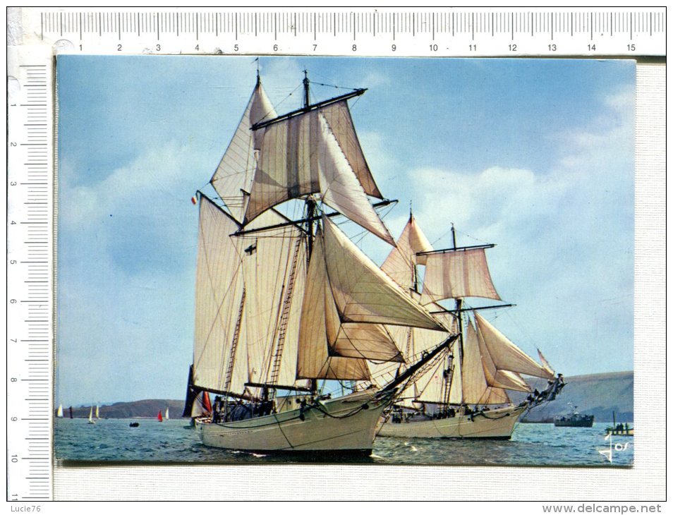 Goëlettes De La Marine Nationale  -  L ETOILE Et La BELLE POULE - Sailing Vessels