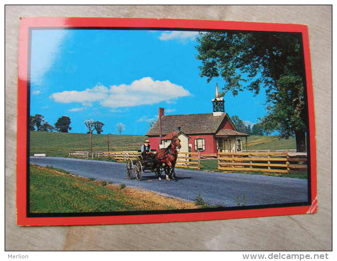 USA  - AMISH Country - Horse Carriage  D110149 - American Roadside