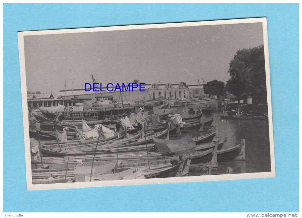 CPA Photo - BASRA / BASSORA - Port De Pêche - Iraq