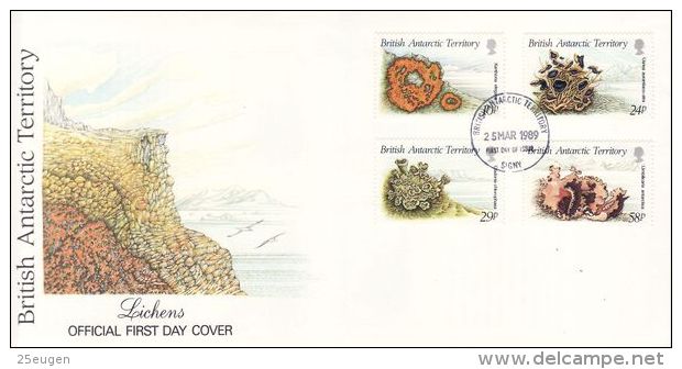 BRITISH ANTARCTIC TERRITORY 1989 LICHENS   FDC - FDC