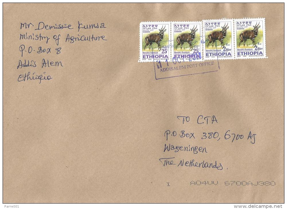 Ethiopia 2011 Addisalem Village Postmark Antilope Cover - Ethiopië