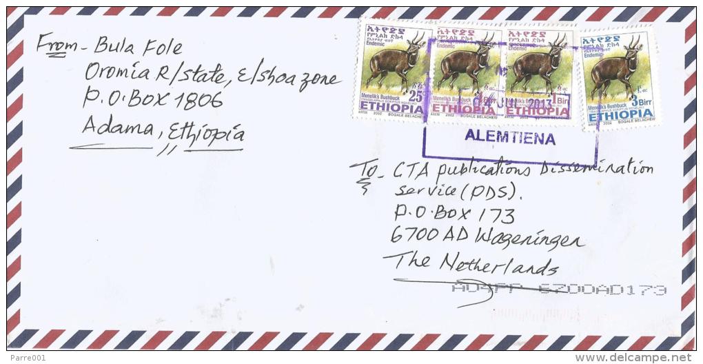 Ethiopia 2013 Alemtiena Village Postmark Antilope Cover - Ethiopie