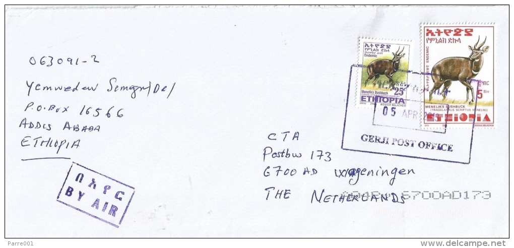 Ethiopia 2013 Gerji Village Postmark Antilope Cover - Ethiopië