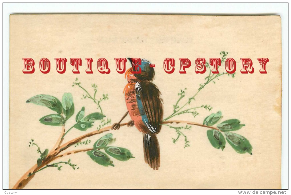 OISEAUX  - Carte Dessinée Illustrateur < Oiseau - Bird  Bird´s - Dos Scanné - Vögel