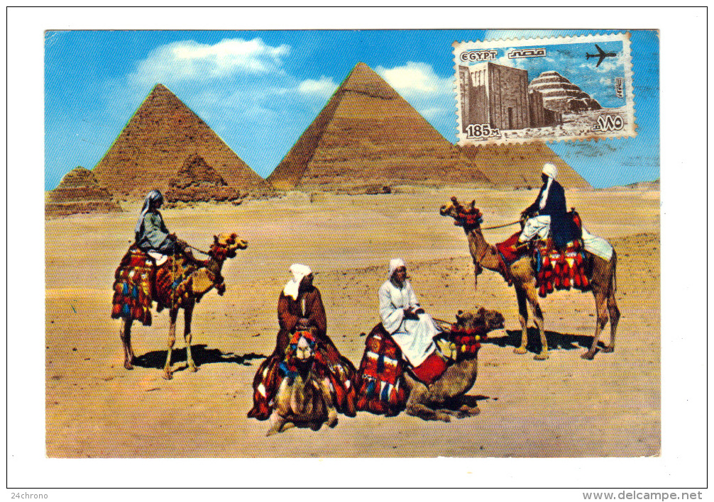 Egypte: Arabs Near Giza Pyramid Group, Dromadaire (13-3380) - Gizeh