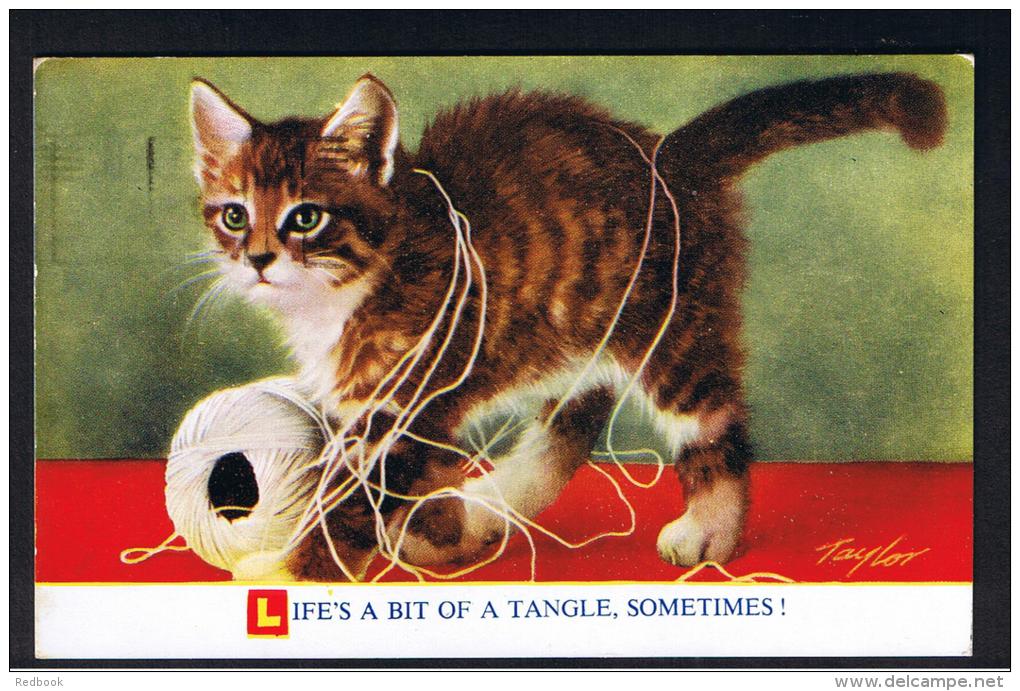 RB 950 - 1957 Bamforth Comic Cat &amp; Knitting Postcard -  "Life's A Bit Of A Tangle" - Ireland Slogan "License Your Ra - Fumetti