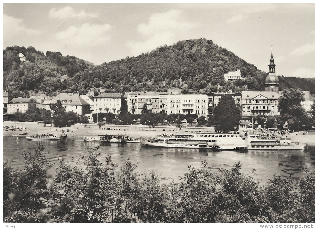 Bad Schandau  -  Weiße Flotte     Germany    # 02508 - Bad Schandau