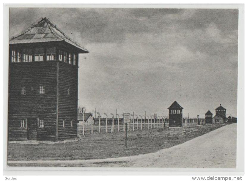 Poland - Brzezinka - Birkenau - Several Watch Towers Surrounding The Camp - Monumenti Ai Caduti