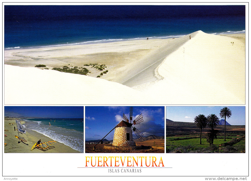 FUERTEVENTURA - Paisajes Tipicos - Carte écrite Ayant Circulée - Fuerteventura