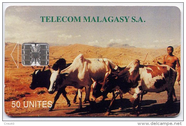 Télécarte 50 Unités Madagascar 05/96 - Zébus, N° En Dessous Ligne - Madagascar