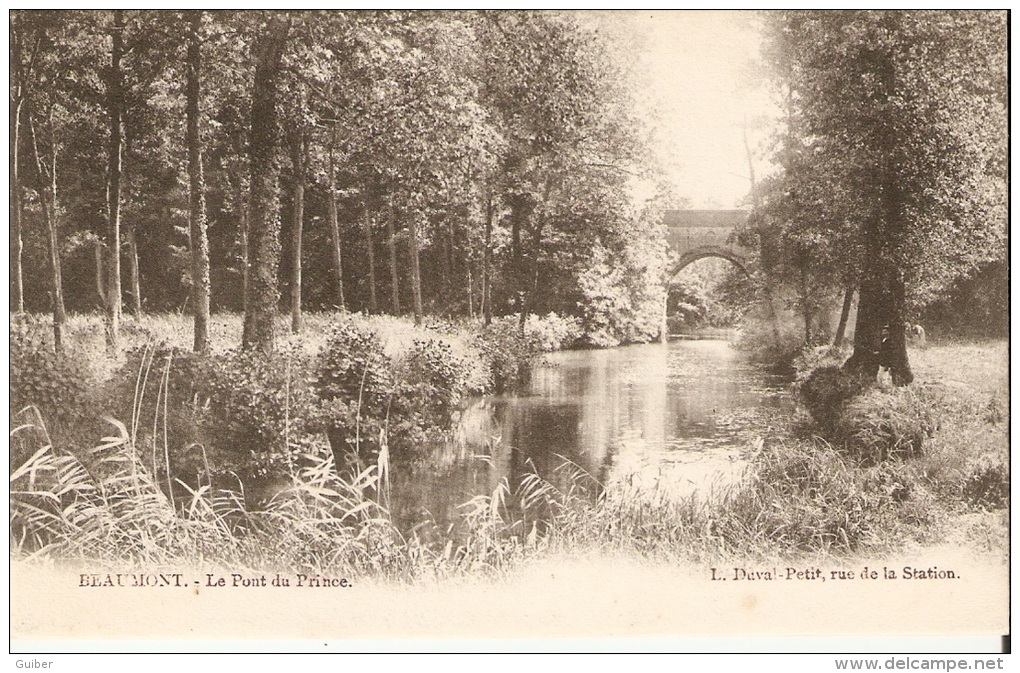 Beaumont  Le Pont Du Prince Traces De Colle Au Verso - Beaumont