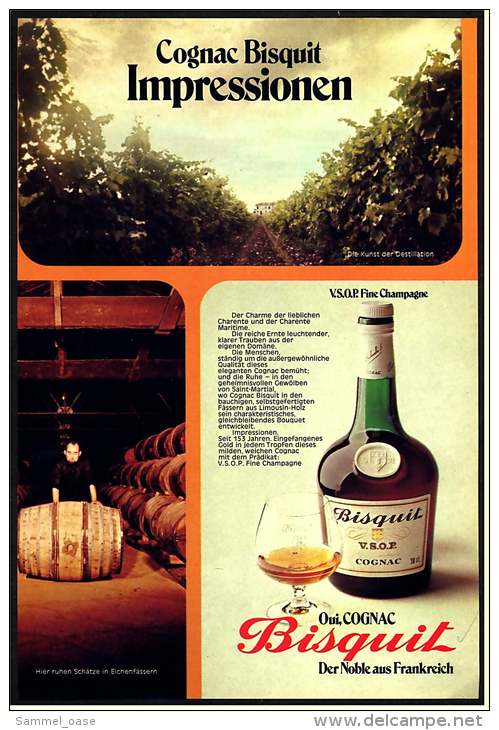 Reklame Werbeanzeige  -  Cognac Bisquit  -  Der Noble Aus Frankreich  -  Impressionen  -  Von 1972 - Alkohol