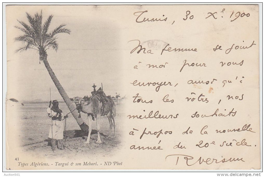 19393g TUNIS - Types Algériens - Targui Et Son Mehari - 1900 - Tunisie