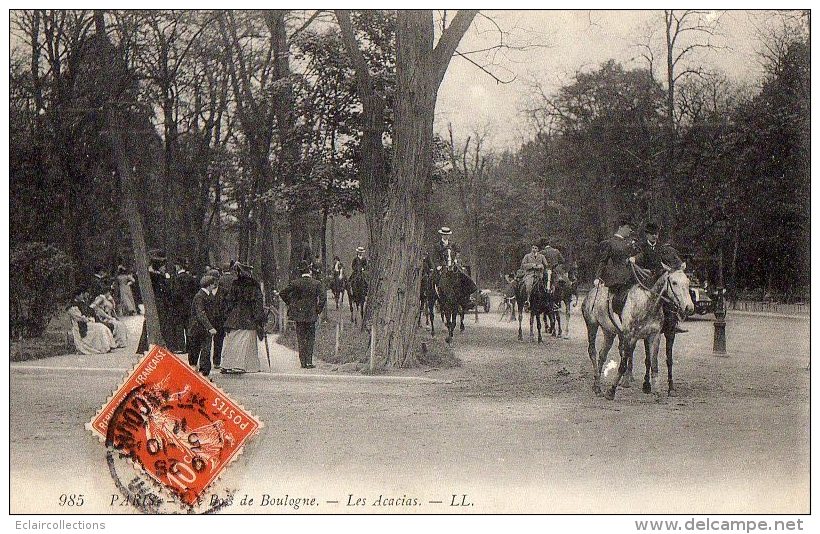 Paris   75016   Paris  Le Bois De Boulogne  Les Acacias - Parks, Gärten