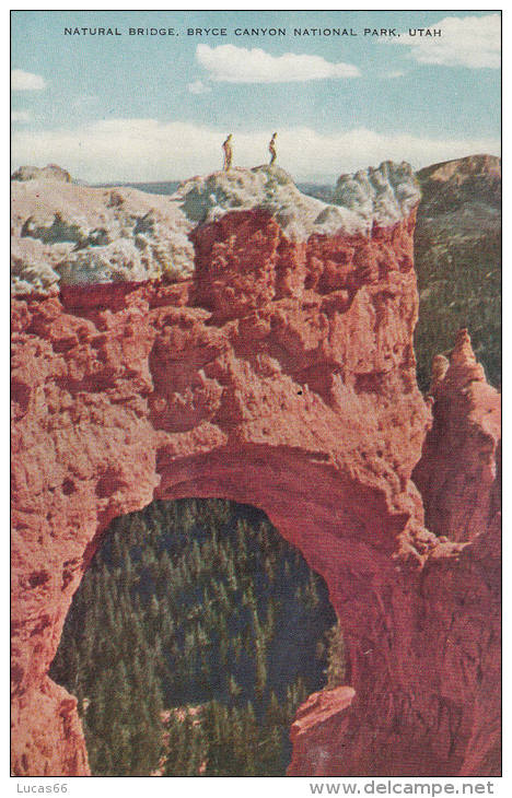 C1900 BRYCE CANYON - NATURAL BRIDGE - Bryce Canyon