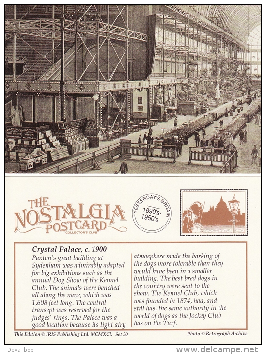 Postcard CRYSTAL PALACE C1900 Kennel Club Dog Show Nostalgia Repro - Exhibitions