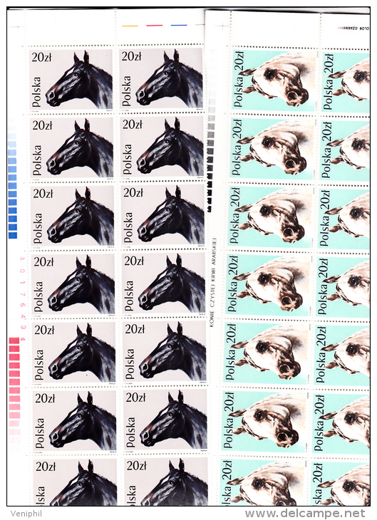 POLOGNE -SERIE CHEVAUX N° 2997 A 3002  EN BLOC DE 14 BDF -TTB  COTE : 42 € - Oblitérés