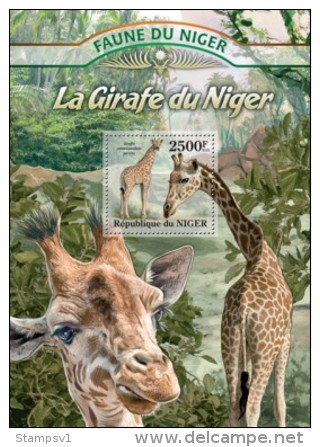 Niger. 2013 Giraffes. (101b) - Jirafas