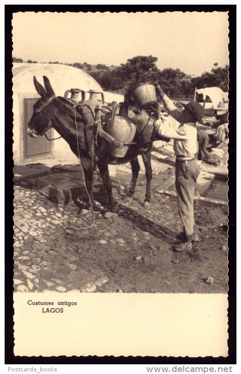 ALGARVE / LAGOS / PORTUGAL Postal Fotográfico Costumes Portugueses. Aguadeiro. Burro. Lavadeiras.Old Postcard - Faro