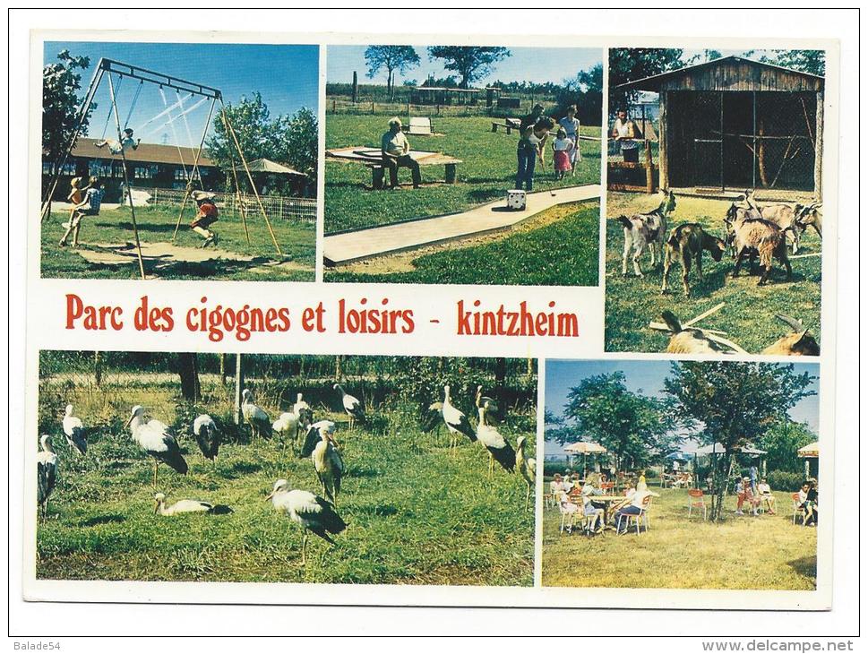 CPM - KINTZHEIM (67) Parc Des Cigognes Et Loisirs (très Animée) - Autres & Non Classés