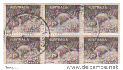 Australia 1937 Animals 9d Platypus Used Block 6 - Usados