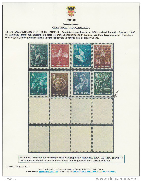 TRIESTE - ZONA B - VUJA - N.23-30  Cat. 150 EURO - Con CERTIFICATO - GOMMA INTEGRA - MNH** - Mint/hinged