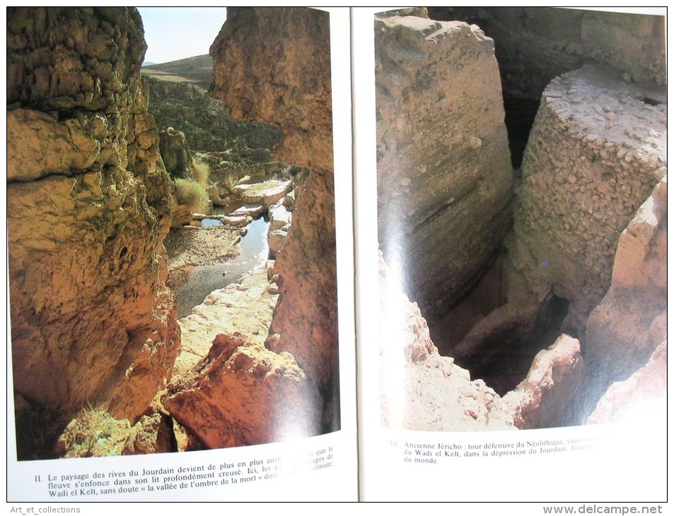 La Bible Arrachée Aux Sables / Werner Keller / Plon 1980 - Archéologie