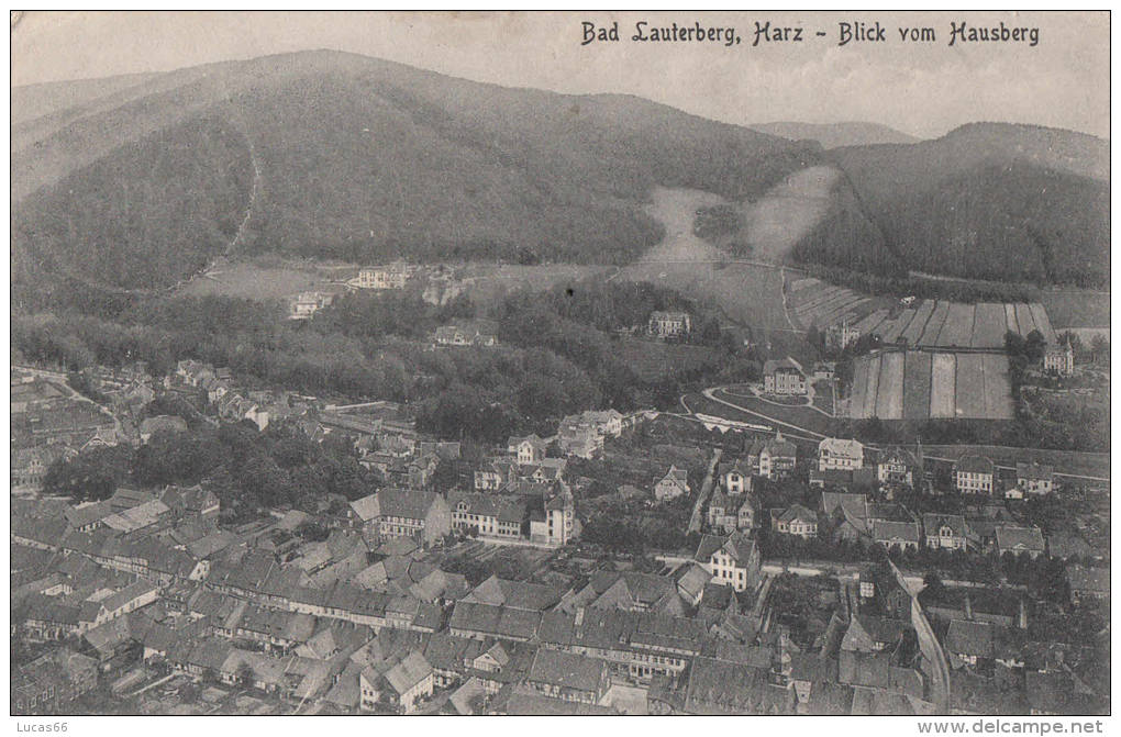 1917 BAD LAUTERBERG - HARZ BLICK VOM HAUSBERG - Bad Lauterberg