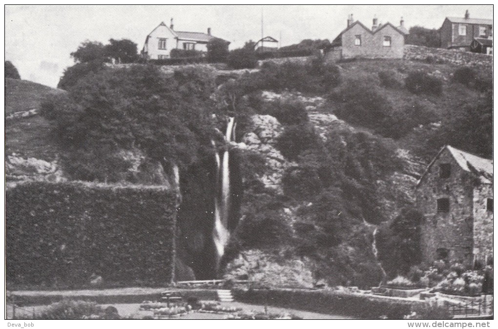 Postcard DYSERTH Waterfall & Gardens Late 1920's Denbighshire Repro - Denbighshire