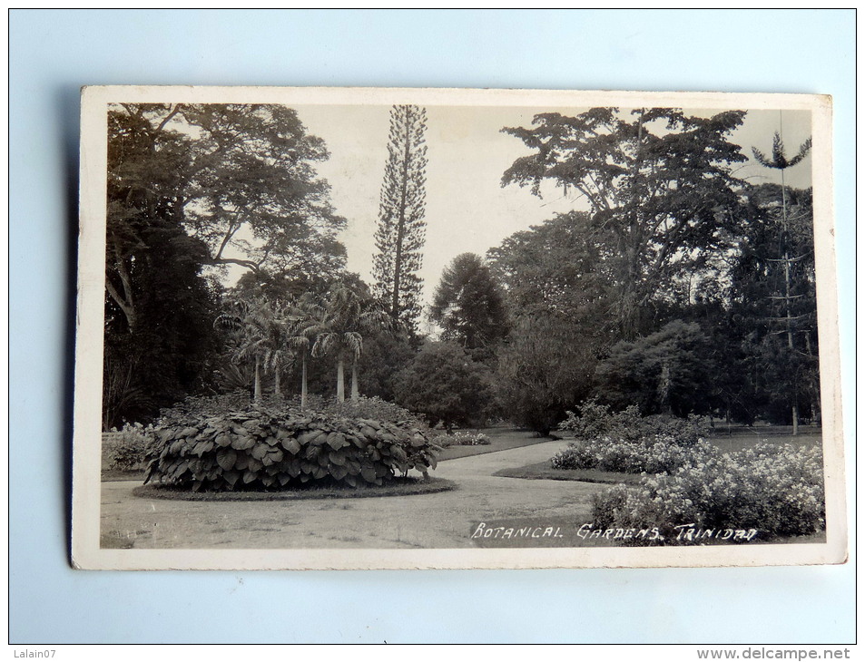 Carte Postale Ancienne : TRINIDAD : Botanical Gardens , Timbre 1936 - Trinidad