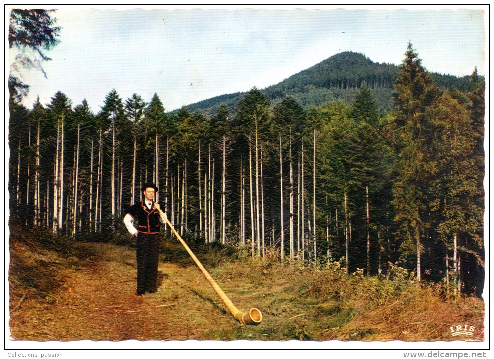 CP, L'APPEL DU TROUPEAU, Ecrite, Ed : La Cigogne - Crías