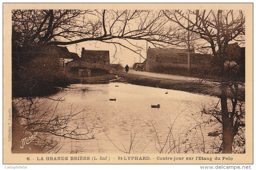 44 ST LYPHARD  - 6  - Contre - Jour Sur L' Etang Du Pelo - Saint-Lyphard