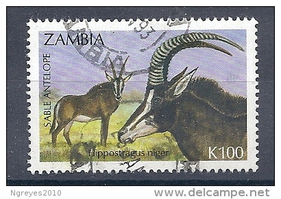 131007168  ZAMBIA  YVERT   Nº  561 - Zambia (1965-...)