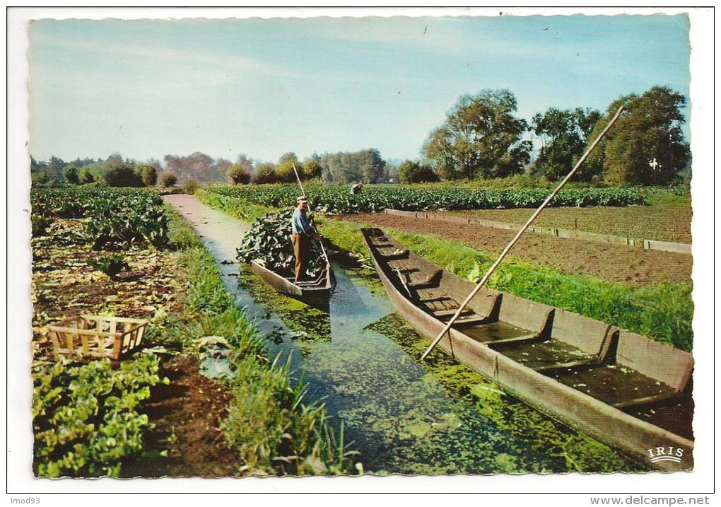 80 - AMIENS (Somme) - Camon - Les Hortillonnages - Ed. La Cigogne N° 80.021.117 - Amiens