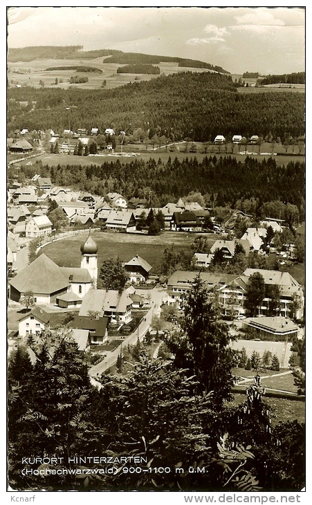 CP De KURORT HINTERZARTEN " Hochschwarzwald "  . - Hinterzarten