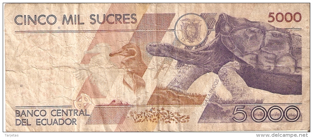 BILLETE DE ECUADOR DE 5000 SUCRES DEL 6 DE MARZO DEL 1999 (BANKNOTE) TORTUGA-TURTLE-PINGUINO-P ENGUIN - Equateur