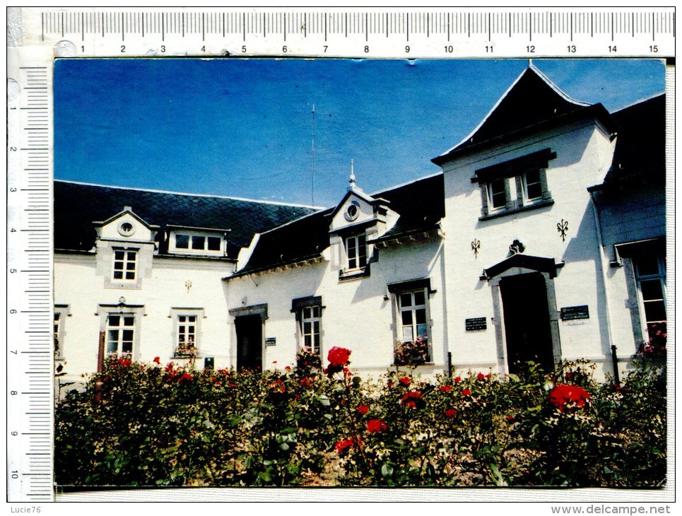 MONTIGNY LE TILLEUL -  Maison Communale - Montigny-le-Tilleul