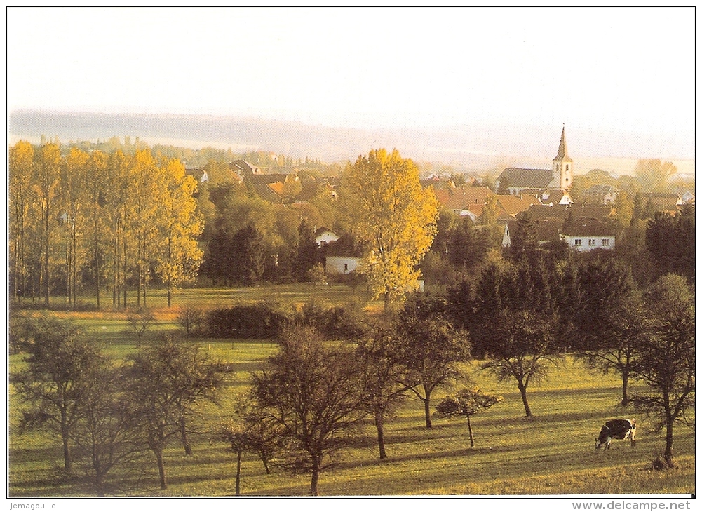 ROHRBACH LES BITCHE 57 - Vue Générale - EA 671 - C-2 - Rechicourt Le Chateau