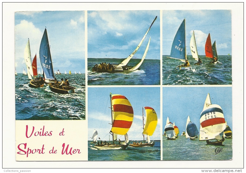 Cp, Voile, Et Sport De Mer, Multi-Vues, Voyagée 1970 - Sailing