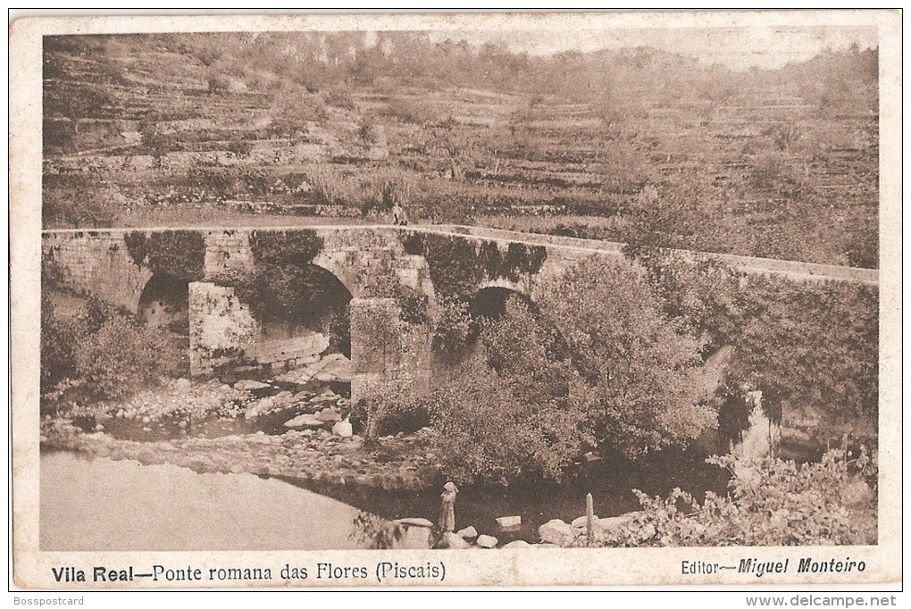 Vila Real - Ponte Romana Das Flores (Piscais) - Vila Real