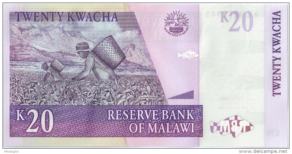 MALAWI - 20 Kwacha 2006 UNC - Malawi