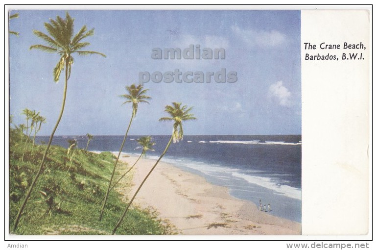BARBADOS BWI ~ CRANE BEACH ~ C1960s Unused Vintage Postcard ~BRITISH WEST INDIES -CARRIBEAN  [4307] - Barbados