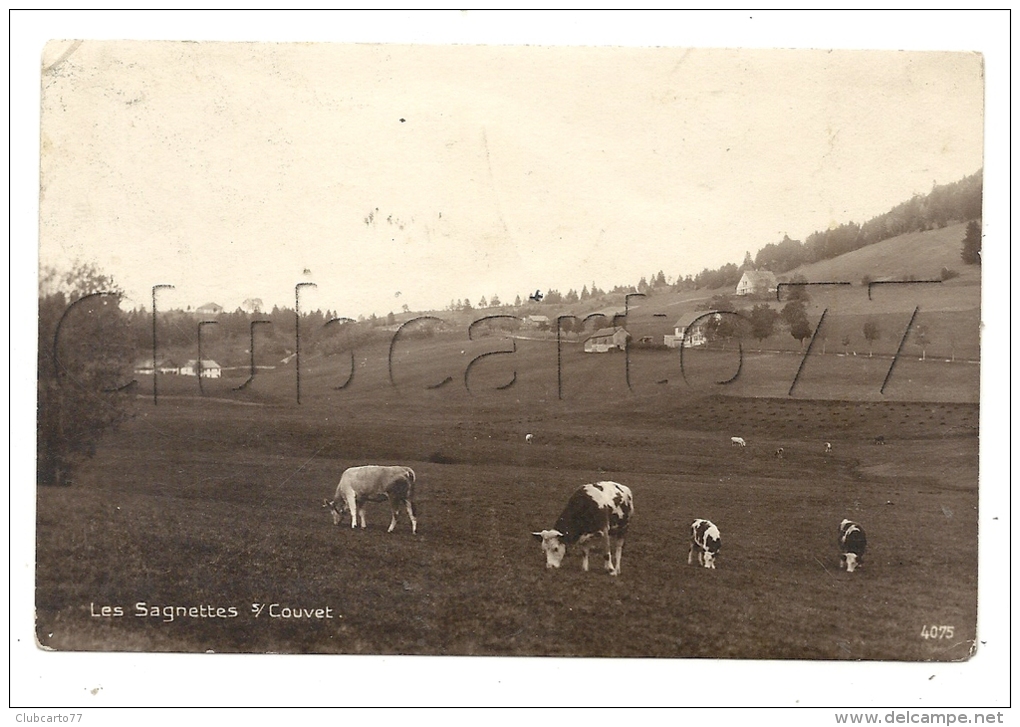 Couvet (Suisse, Neuchâtel) : Vaches Au Pâturage Devant Les Maisons Au Lieu Dit Les Sagnettes S/couvet En  1910 (animé). - La Sagne
