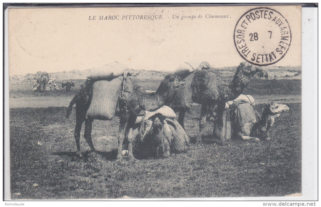 MAROC - CARTE Avec CACHET Du BUREAU TERRITORIAL De SETTAT (RARE) - Lettres & Documents