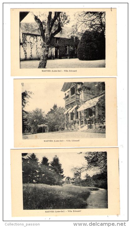 Cp , 44 , MAUVES SUR LOIRE , Villa EDOUARD , Vierge , Pas D´éditeur , LOT DE 3 CARTES POSTALES - Mauves-sur-Loire