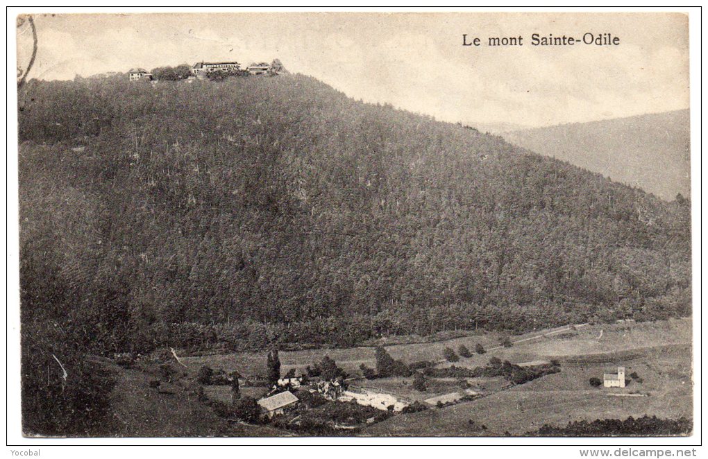 CP, 67, Le Mont Sainte Odile, écrite, Voyagé En 1955, Carte Molle - Sainte Odile