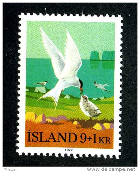 4311x)  Iceland 1972 - Sc # B-24   ~ Mnh** - Unused Stamps