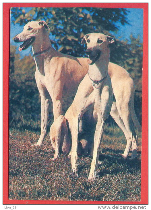 K68 / 1993 - ANIMALS Dog Chiens Hunde Cani Honden Perros  -  Calendar Calendrier Kalender - Bulgaria Bulgarie - Tamaño Pequeño : 1991-00