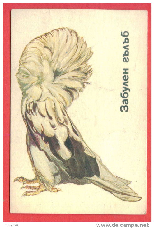 K75 / 1991 - ANIMALS  BIRDS Columba Livia Var Cucullata  - Calendar Calendrier Kalender - Bulgaria Bulgarie Bulgarien - Formato Piccolo : 1991-00