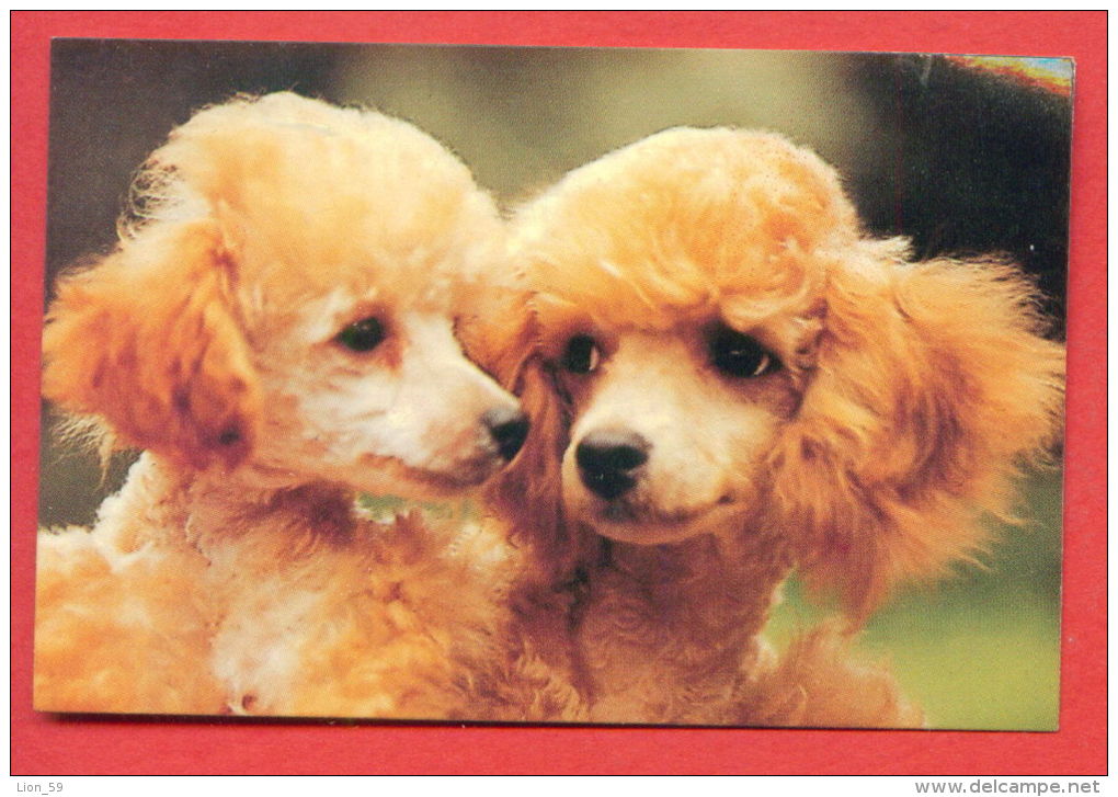 K76 / 1991 - ANIMALS  Dog Chiens Hunde Cani Honden Perros  - Calendar Calendrier Kalender - Bulgaria Bulgarie Bulgarien - Tamaño Pequeño : 1991-00